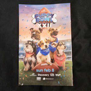 Absolute Batman # 16