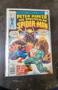 The Spectacular Spider-Man #14 (1978)
