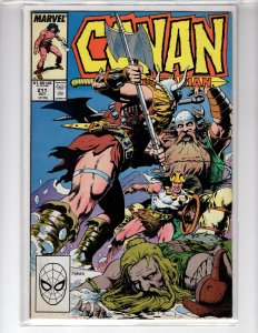 Conan the Barbarian #211 (1988)  - [NSC•ECA7]