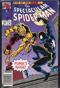 The Spectacular Spider-Man #191 (1992) Spider-Man