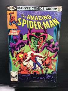 The Amazing Spider-Man #207 (1980)nm