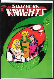Southern Knights #31 (1989)