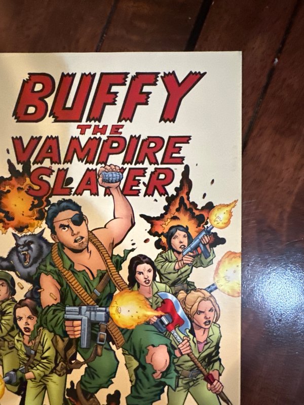 Buffy the Vampire Slayer Season Eight #29 Variant Cover (2009)