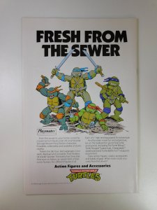 Teenage Mutant Ninja Turtles Adventures #1 (1989)
