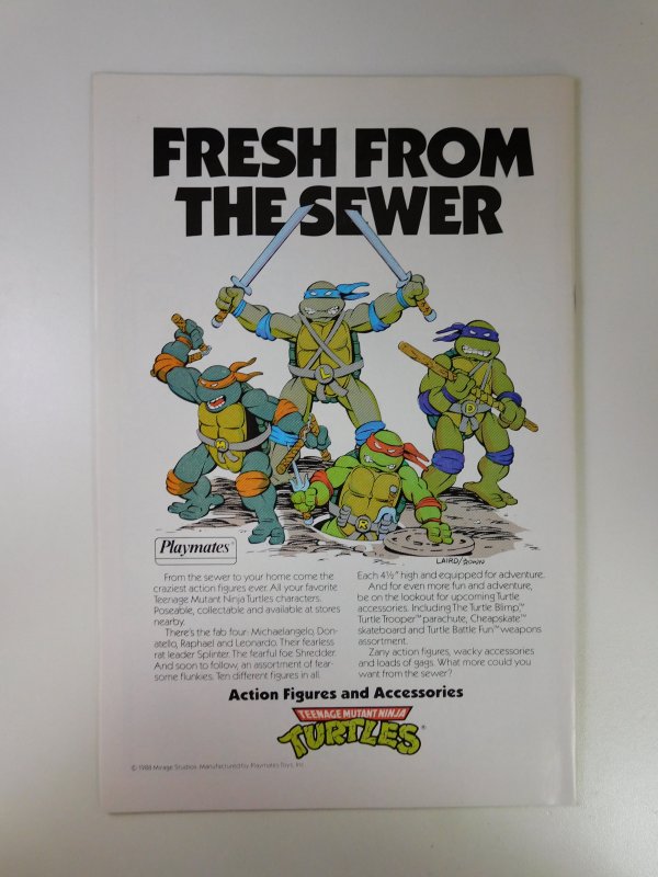 Teenage Mutant Ninja Turtles Adventures #1 (1989)