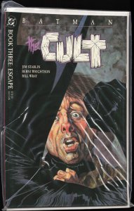 Batman: The Cult #3 (1988) Batman