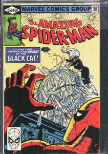 The Amazing Spider-Man #205 (1980) Spider-Man