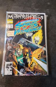 Ghost Rider/Blaze: Spirits of Vengeance #1 (1992)