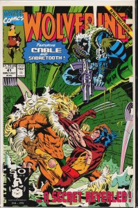 Wolverine #41 (1991) Wolverine