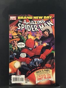 The Amazing Spider-Man #563 (2008)