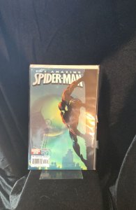 The Amazing Spider-Man #521 (2005)  