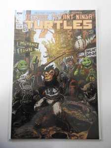 Teenage Mutant Ninja Turtles #109 Cover B