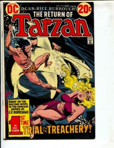 Tarzan-#219-1973-DC-BRONZE-AGE-Joe Kubert-NM-