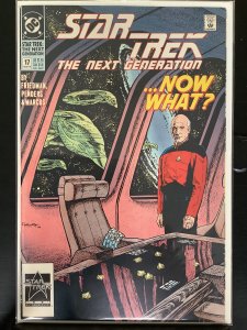 Star Trek: The Next Generation #17 (1991)