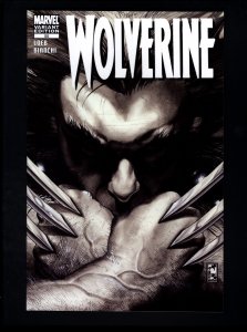 Wolverine #55 (2008) Variant