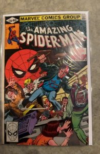 The Amazing Spider-Man #206 (1980) Spider-Man 