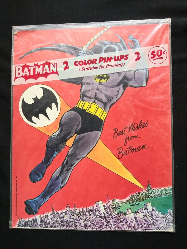 1966 DC 2 PACK OF PIN-UPS BATMAN AND THE RIDDLER SEALED RARE!