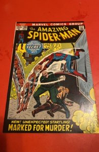 The Amazing Spider-Man #108 (1972)