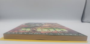 Incredible Hulk Visionaries Peter David Volume 4 TPB  2007 Marvel Comics