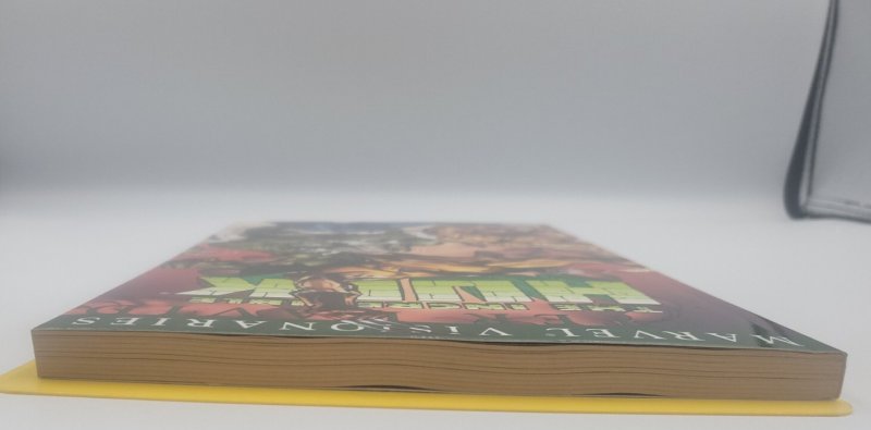 Incredible Hulk Visionaries Peter David Volume 4 TPB  2007 Marvel Comics