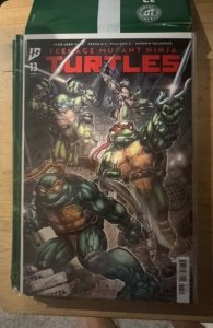 IDW Teenage Mutant Ninja Turtles  #13 A (2025)  