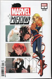 Marvel Meow (2024 Marvel) #1