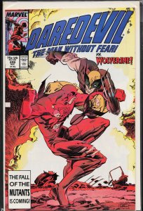 Daredevil #249 (1987) Daredevil