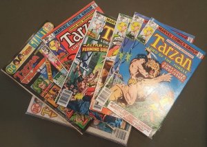TARZAN LOT (1975-1979)
