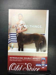 Ms. Marvel #32 (2008)nm