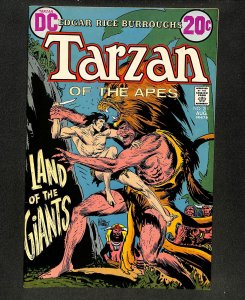 Tarzan (1972) #211