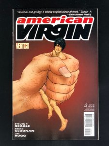 American Virgin #3 (2006)