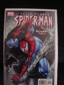 Peter Parker: Spider-Man #56 (154) Sam Kieth Cover & Art Sandman
