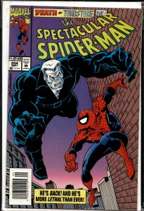 The Spectacular Spider-Man #204 (1993) Spider-Man