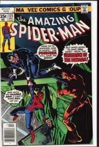 The Amazing Spider-Man #175 (1977) Spider-Man