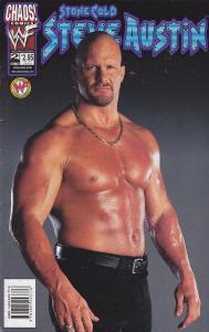 Stone Cold Steve Austin #2
