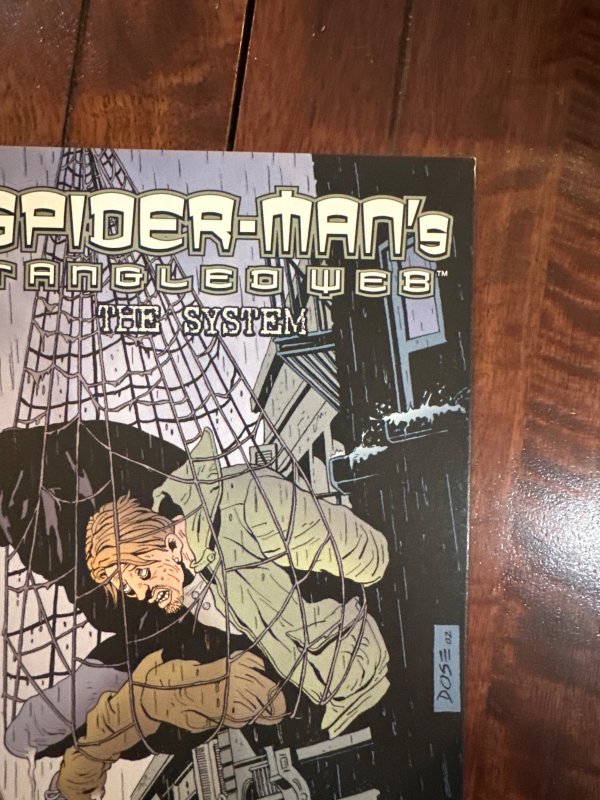 Spider-Man's Tangled Web #22 (2003)