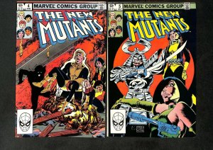Lot of 2 The New Mutants Comic Books (Marvel, 1983) #4 #5