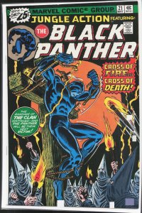 Jungle Action #21 (1976) Black Panther