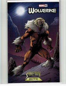 Wolverine #41 Bagley Cover (2024) Wolverine