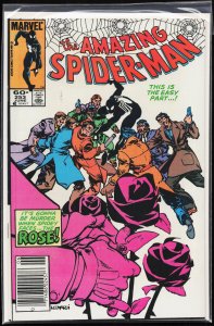 Amazing Spider-Man (1984) #253