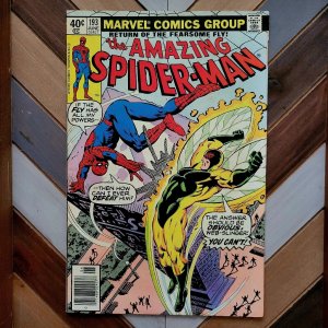 Amazing Spider-Man #193 VG (Marvel 1979) Fly appearance + Mary Jane dumps Peter!