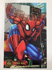 1995 FLAIR MARVEL ANNUAL SPIDER-MAN LARGE PROMO CARD VF/NM VERY FINE/NEAR MINT