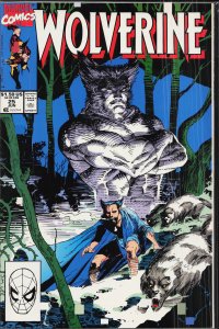 Wolverine #25 (1990) Wolverine