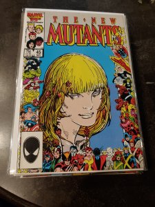 The New Mutants #45 (1986)