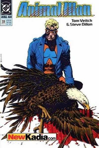 Animal Man (1988 series) #33, NM + (Stock photo)