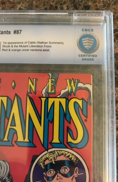 The New Mutants #87 (1990)