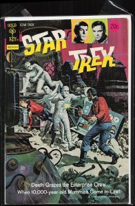 Star Trek #21 (1973) Star Trek