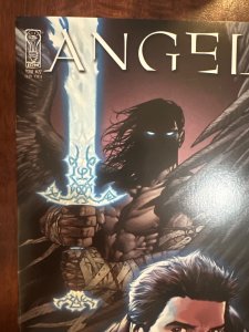 Angel#22 (2010)