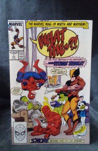 What The--?! #1 (1988)