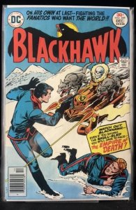 Blackhawk #249 (1976)